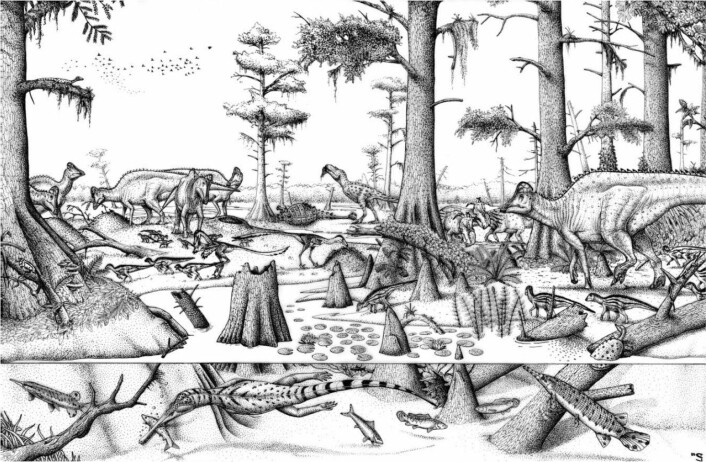 "Dette er den ene studentens illustrasjon av hvordan det kan ha sett ut i Grande Praire-området for over 70 millioner år siden. (Illustrasjon: Tetsuto Miyashita)"