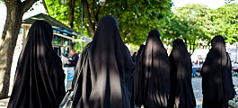 Er det oljen eller islamske lover som stenger kvinner ute av arbeidsmarkedet i Midtøsten?