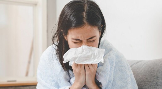Lav flokkimmunitet kan gi hard influensasesong