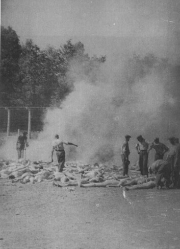 Et av de få bildene som har blitt smuglet ut fra Auschwitz, viser avbrenningen av lik etter ungarske jøder i 1944, da krematorieovnene var brutt sammen. Rettsmedisinske undersøkelser foretatt av det polske selskapet Hydrokop har senere avslørt store mengder aske, hår og menneskerester på stedet. (Foto: «Sterbenbücher von Auschwitz», bind 1, s. 192/Holocaust-info.dk) Et av de få bildene som har blitt smuglet ut fra Auschwitz, viser avbrenningen av lik etter ungarske jøder i 1944, da krematorieovnene var brutt sammen. Rettsmedisinske undersøkelser foretatt av det polske selskapet Hydrokop har senere avslørt store mengder aske, hår og menneskerester på stedet. (Foto: «Sterbenbücher von Auschwitz», bind 1, s. 192/Holocaust-info.dk)