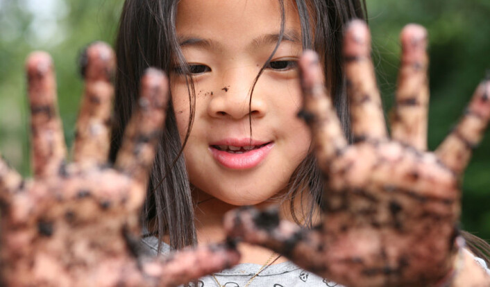 (Foto: Colourbox) (Foto: Colourbox)