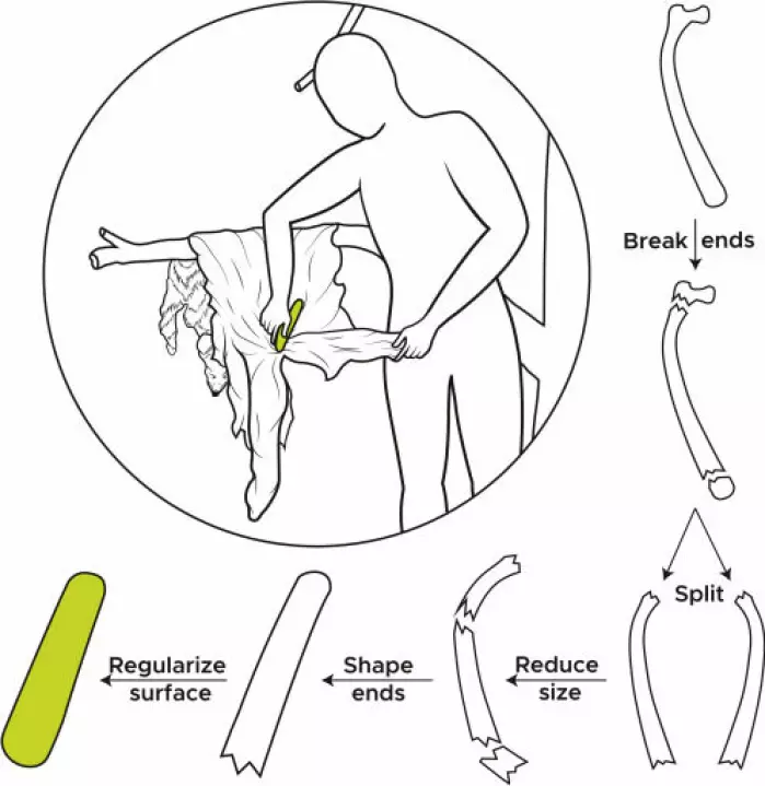 Illustrasjonen viser hvordan en av redskapene ble laget av et ribbein og brukt til å bearbeide skinn.
