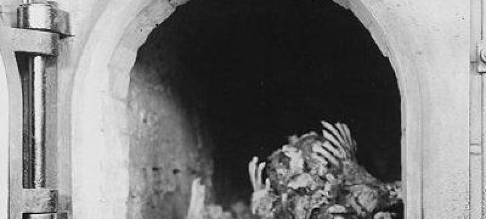 Forkullede kropper ble funnet av amerikanske tropper i konsentrasjonsleiren Buchenwald nær Jena i Tyskland, 16. april 1945. (Foto: National Archives and Records Administration, se lisens her)