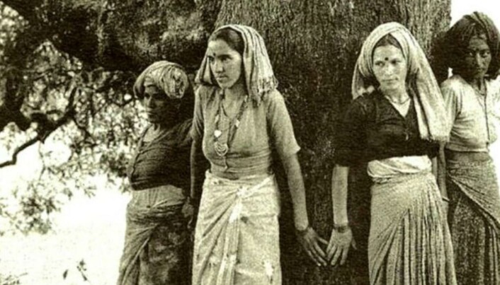 På 70-talet vaks Chipko-rørsla fram i indisk Himalaya. Kvinnene i landsbyen med same namn slo ring om store tre som skulle hoggast, noko dei rettmessig frykta ville føre til ras og flaum. I tillegg til å påverke indisk miljølovgjeving, inspirerte dei naturelskarar i mange land til å drive med treklemming. Foto: NA, CC BY-SA 4.0 Wikimedia Commons. På 70-talet vaks Chipko-rørsla fram i indisk Himalaya. Kvinnene i landsbyen med same namn slo ring om store tre som skulle hoggast, noko dei rettmessig frykta ville føre til ras og flaum. I tillegg til å påverke indisk miljølovgjeving, inspirerte dei naturelskarar i mange land til å drive med treklemming. Foto: NA, CC BY-SA 4.0 Wikimedia Commons.