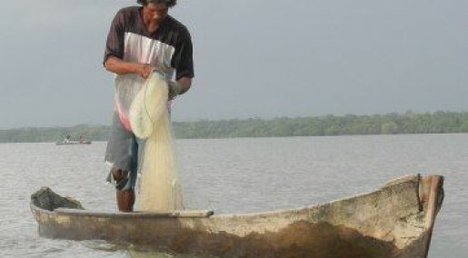 Fattigdom og overfiske: Ein vond sirkel