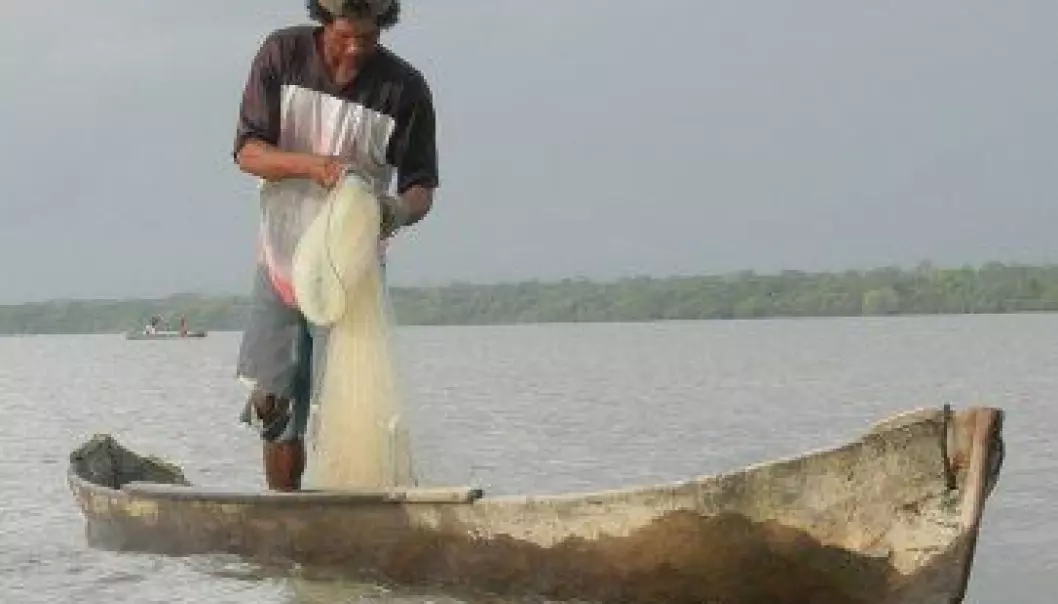 Fattigdom og overfiske: Ein vond sirkel