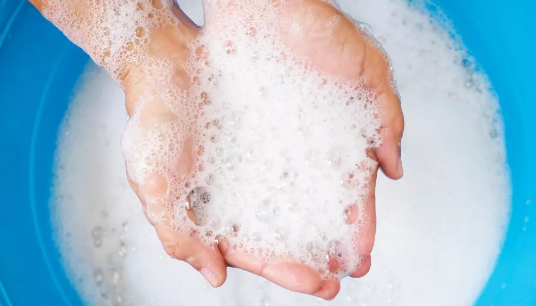 Cezmi Akdis mener rengjøringsmidler til klesvask og huset kan skade barrierene i huden, lungene og tarmen. Dette kan igjen føre til sykdom.