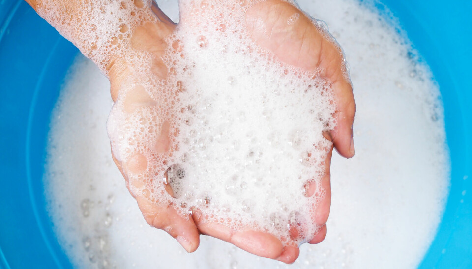 Cezmi Akdis mener rengjøringsmidler til klesvask og huset kan skade barrierene i huden, lungene og tarmen. Dette kan igjen føre til sykdom.