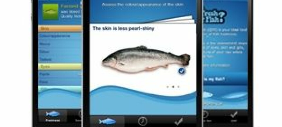 Appen ”How fresh is my fish?” finnes på 11 språk, deriblant norsk.