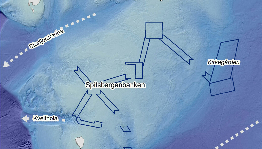 Figuren viser de største rennene rundt Spitsbergenbanken (Bjørnøyrenna, Storfjordrenna og Kveithola), der isstrømmer (stiplede linjer) har erodert havbunnen og transportert sedimenter mot dypere områder i vest. På Spitsbergenbanken har isen enkelte steder og i enkelte perioder vært frosset fast til underlaget, og derfor ikke beveget seg. Kartleggingsområdene til det pågående Mareano-toktet er merket med blå omriss. Området i øst er kalt Kirkegården (se hovedteksten) Figuren viser de største rennene rundt Spitsbergenbanken (Bjørnøyrenna, Storfjordrenna og Kveithola), der isstrømmer (stiplede linjer) har erodert havbunnen og transportert sedimenter mot dypere områder i vest. På Spitsbergenbanken har isen enkelte steder og i enkelte perioder vært frosset fast til underlaget, og derfor ikke beveget seg. Kartleggingsområdene til det pågående Mareano-toktet er merket med blå omriss. Området i øst er kalt Kirkegården (se hovedteksten)