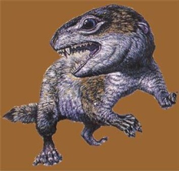 "Diarthrognathus var en mellomform mellom reptil og pattedyr." "Diarthrognathus var en mellomform mellom reptil og pattedyr."