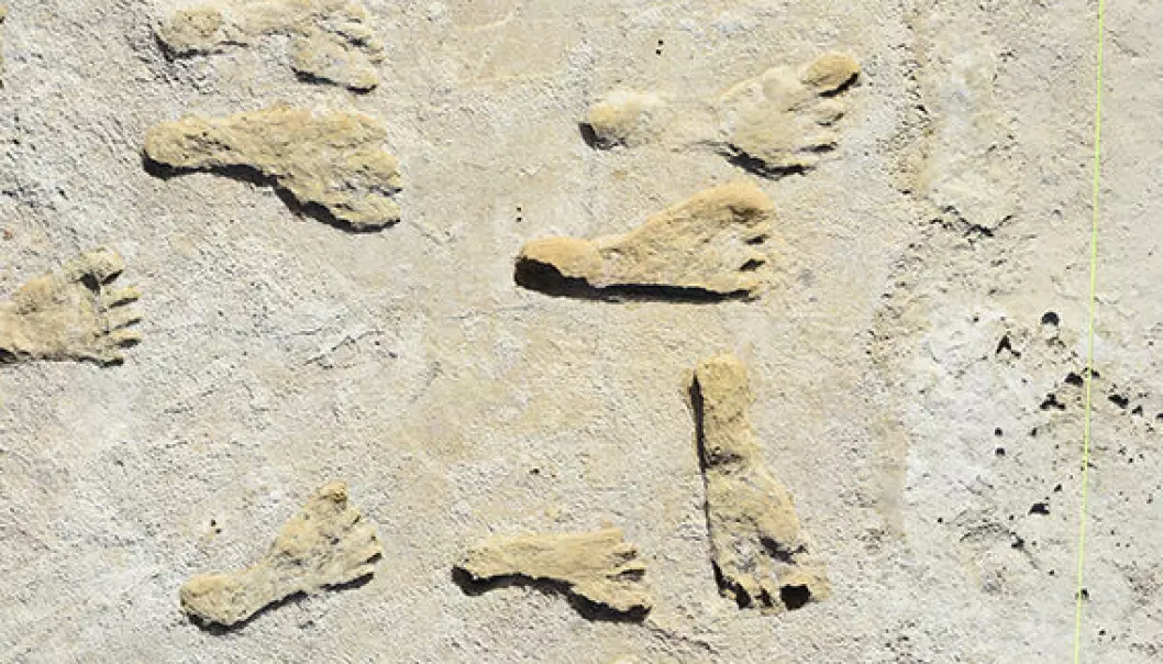 Noen av fotsporene, som ble avdekket under utgravninger i New Mexico i USA. De er i nasjonalparken White Sands, men akkurat hvor er hemmelig.