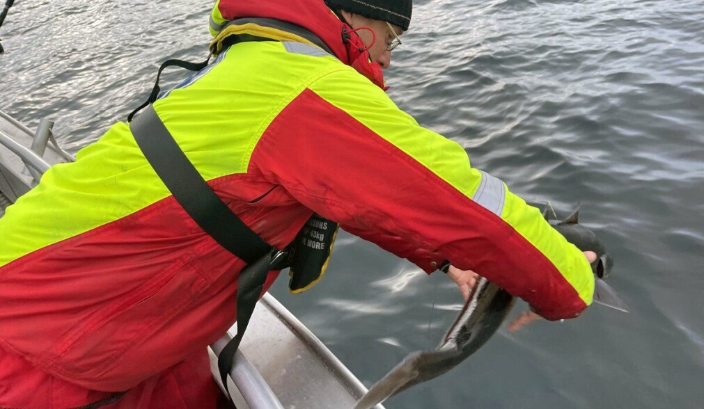 Hører fra deg om ett år, ruggen! Hører fra deg om ett år, ruggen!