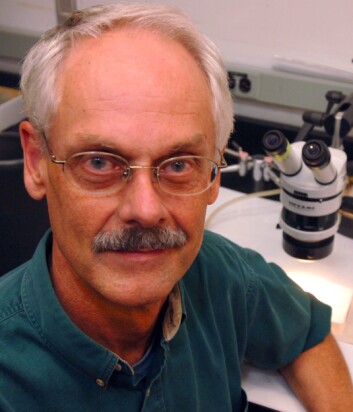 "John Jaenike (Foto: University of Rochester)" "John Jaenike (Foto: University of Rochester)"