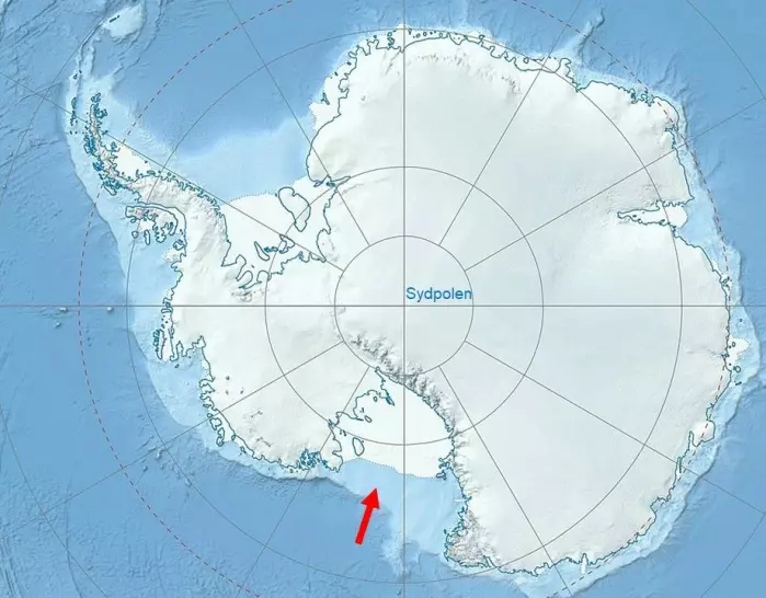 Filmen av manetene er fra Rosshavet (rød pil) i Antarktis.