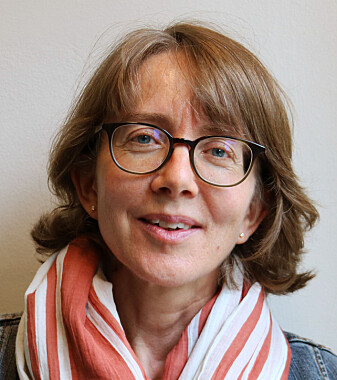 Religionsviter Ragnhild Johnsrud Zorgati har undersøkt hvilken rolle forholdet til natur og landskap hadde i skandinaveres forestillinger om Jerusalem. Religionsviter Ragnhild Johnsrud Zorgati har undersøkt hvilken rolle forholdet til natur og landskap hadde i skandinaveres forestillinger om Jerusalem.