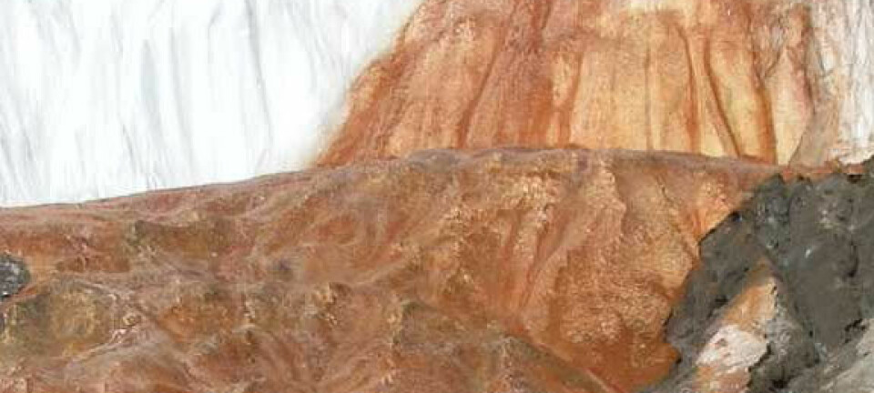 Vannprøver fra området Blood Falls har gitt forskere innsyn i et unikt økosystem under Taylor-breen, der mikroorganismer aktivt benytter seg av jern, svovel og karbon i et slags kretsløp for å oppnå vekst. Foto:  Foto: Benjamin Urmston, Science/AAAS.
