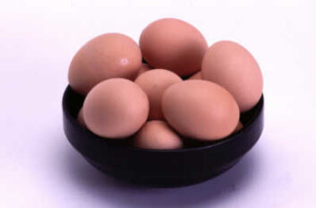 "Prior har ikke merket noen nedgang i salget av egg og kylling." "Prior har ikke merket noen nedgang i salget av egg og kylling."