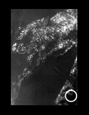 "Den hvite sirkelen viser det som sannsynligvis er landingsområdet til Huygens. (Foto: ESA/NASA/JPL/University of Arizona)" "Den hvite sirkelen viser det som sannsynligvis er landingsområdet til Huygens. (Foto: ESA/NASA/JPL/University of Arizona)"