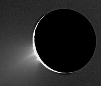 Kryovulkan på Enceladus, fotografert i silhuett mot sola fra romsonden Cassini i november 2005. (Foto: NASA)