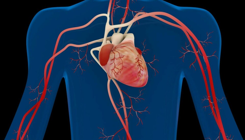 En av komplikasjonene du kan få på grunn av covid-19-infeksjon er betennelse i hjertemuskelen.