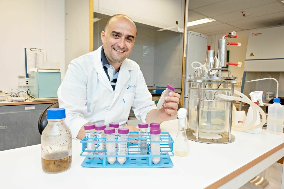 Dimitrios Tzimorotas viser frem blandinger av ulike typer restråstoff. For å få frem de ulike blandingene bruker Nofimas fagfolk ulike typer sopp, tilpasset de ulike råstoffene.