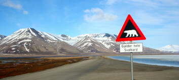 Hvorfor er det Norge som styrer over Svalbard?