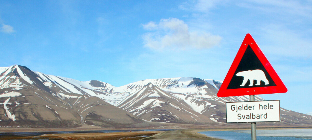 Hvorfor er det Norge som styrer over Svalbard?
