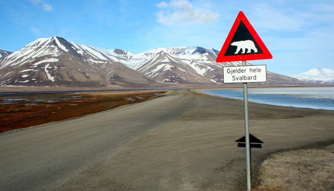 Det er flere isbjørner enn mennesker på Svalbard. Likevel er Svalbard veldig viktig for Norge. Det er flere isbjørner enn mennesker på Svalbard. Likevel er Svalbard veldig viktig for Norge.