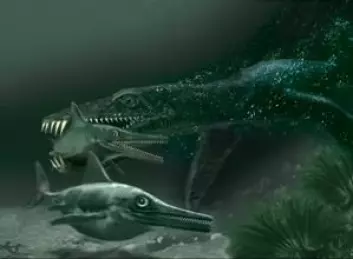 "Pliosaurus på jakt etter fiskeøgler. Ill: Tor Sponga"