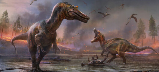 To svære dinosaurer med krokodille-aktig hode er oppdaget i England
