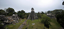 Nyoppdagede bygninger i Maya-byen Tikal har en skjult mening
