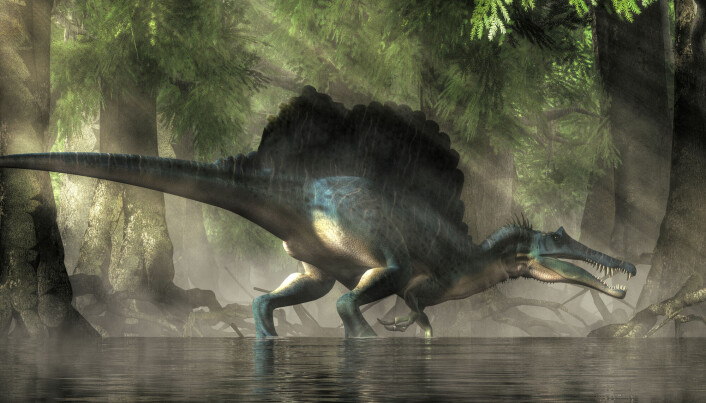 Spinosaurus levde i Nord-Afrika i kritt-tiden. Spinosaurus levde i Nord-Afrika i kritt-tiden.