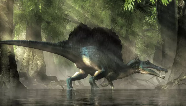 Dette er sånn en kunstner mener at Spinosaurus så ut.