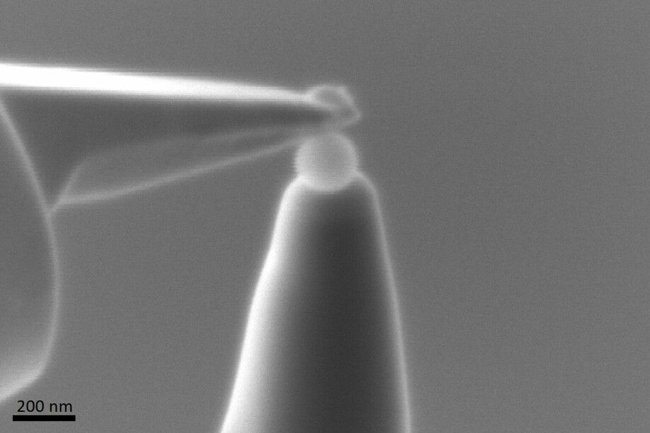 En liten nål brukes til å plukke opp en nanoplast-kule for analyse.