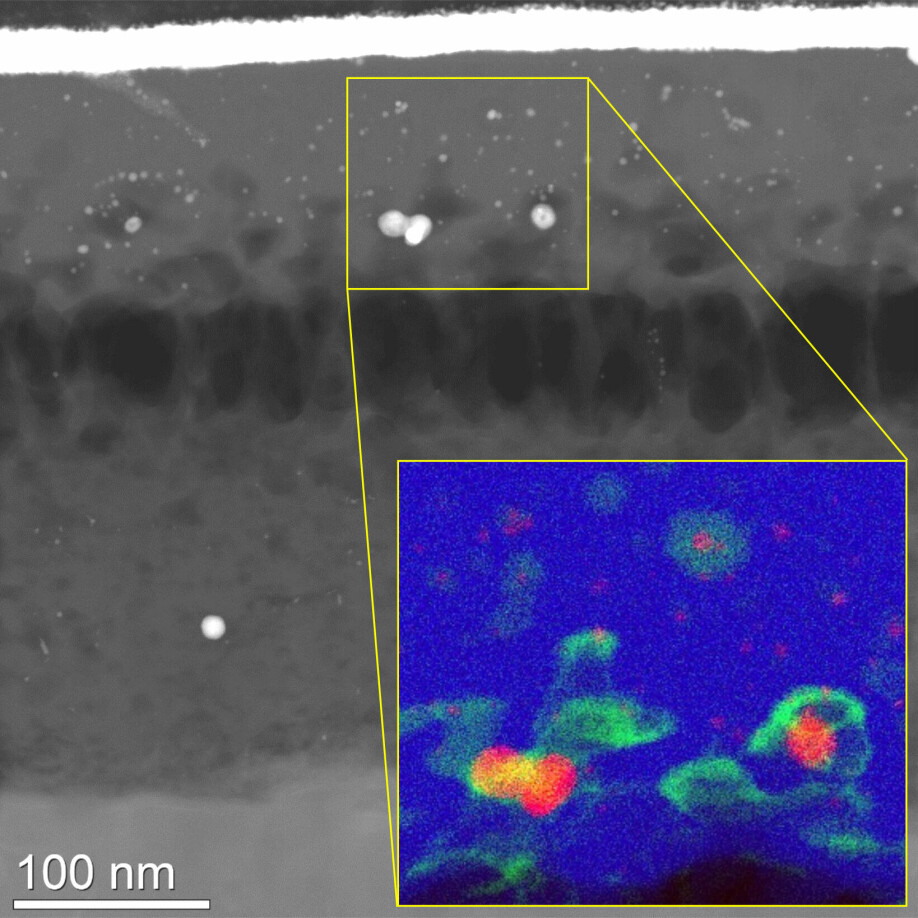 Innkapslede proteindekte gullnanopartikler i en mikroskopisk glassdråpe. Gullet er rødt, proteinene er grønne og glasset er blått.
