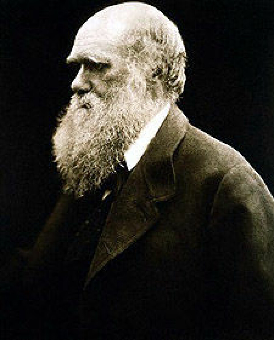 I år feires Darwins 200-årsdag. Hans evolusjonslære lever i beste velgående.