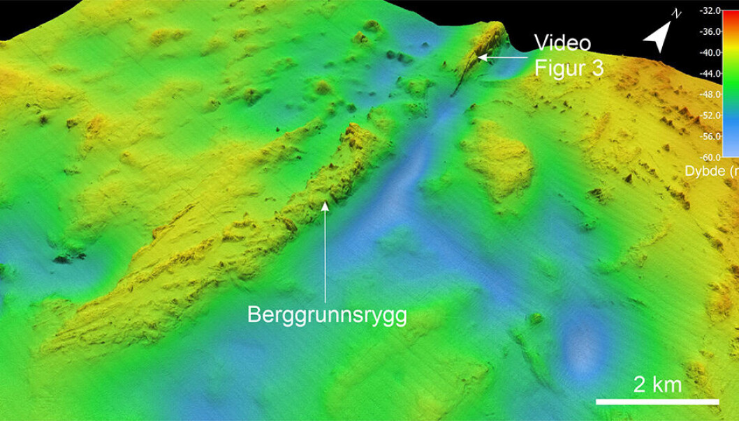 Skyggelagt dybdekart som viser fjellryggen på havbunnen rundt 100 km nordøst for Bjørnøya. Vanndypet på ryggen er 35-40 meter. Den er cirka 10 kilometer lang og opp til 15 meter høy langs østskråningen. Skyggelagt dybdekart som viser fjellryggen på havbunnen rundt 100 km nordøst for Bjørnøya. Vanndypet på ryggen er 35-40 meter. Den er cirka 10 kilometer lang og opp til 15 meter høy langs østskråningen.