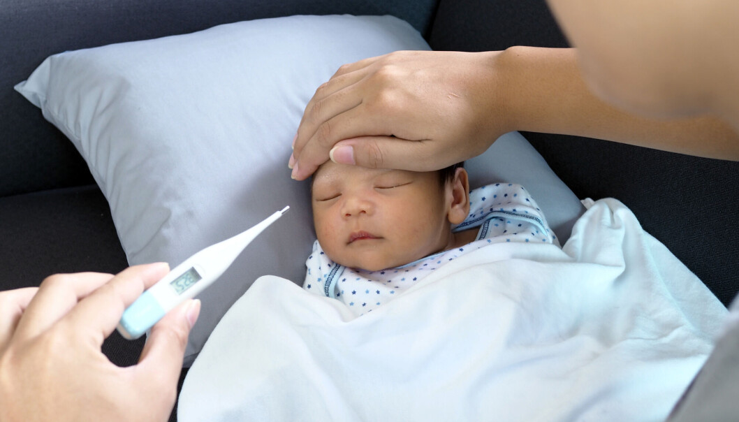RS-virus er en forkortelse for respiratorisk syncytial-virus, og er et virus som gir luftveisinfeksjon hos barn og voksne. RS-virus er en forkortelse for respiratorisk syncytial-virus, og er et virus som gir luftveisinfeksjon hos barn og voksne.