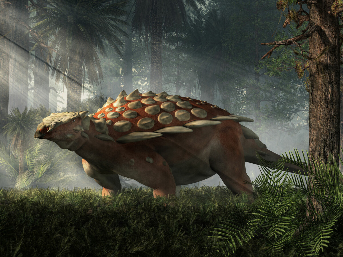 Mystisk dinosaurfossil med pigger forbauser forskere
