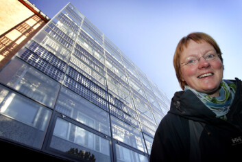 "I neste generasjon solceller vil energiutnyttingavere to-tre gonger høgare enn dagens solceller, seier førsteamanuensis Turid Worren, her foran solcelleveggen på elektrobygget ved NTNU. (Foto: Gorm Kallestad /NTNU Info)" "I neste generasjon solceller vil energiutnyttingavere to-tre gonger høgare enn dagens solceller, seier førsteamanuensis Turid Worren, her foran solcelleveggen på elektrobygget ved NTNU. (Foto: Gorm Kallestad /NTNU Info)"
