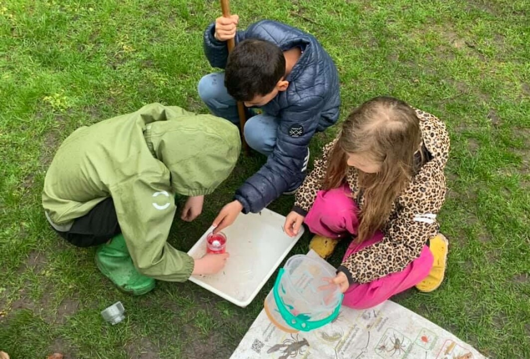 Barn fra Langelinieskolen på Østerbro i København klassifiserer smådyr og insekter som de selv har samlet inn. Barn fra Langelinieskolen på Østerbro i København klassifiserer smådyr og insekter som de selv har samlet inn.