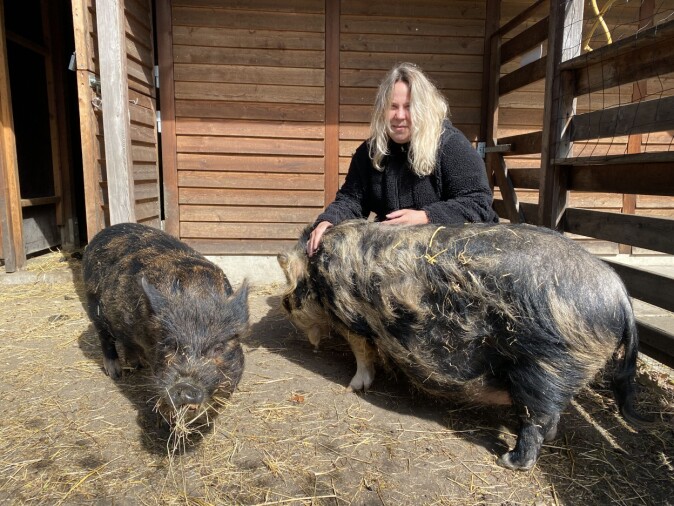 Susanne Borg with the pigs in the garden at Langelinieskolen.