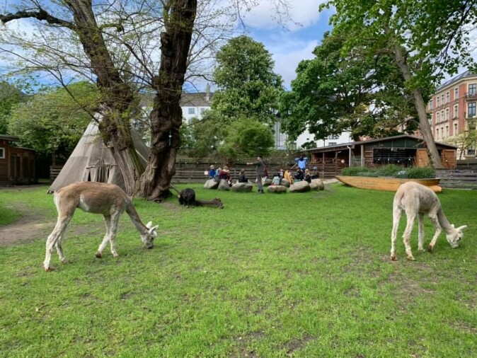 The student must be here all day with the animals.