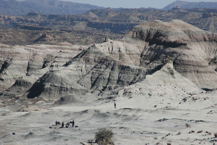 Månedalen nordvest i Argentina, med forskerteamet som graver ut skjelettene av dinosauren Eodromaeus.Dette er det viktigste utgravingsstedet for de tidligste dinosaurene. (Foto: Ricardo Martinez) Månedalen nordvest i Argentina, med forskerteamet som graver ut skjelettene av dinosauren Eodromaeus.Dette er det viktigste utgravingsstedet for de tidligste dinosaurene. (Foto: Ricardo Martinez)