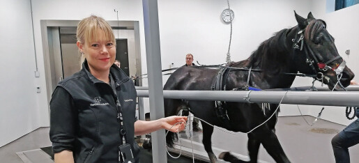 Luftveistest for travhester kan hjelpe mennesker Luftveistest for travhester kan hjelpe mennesker