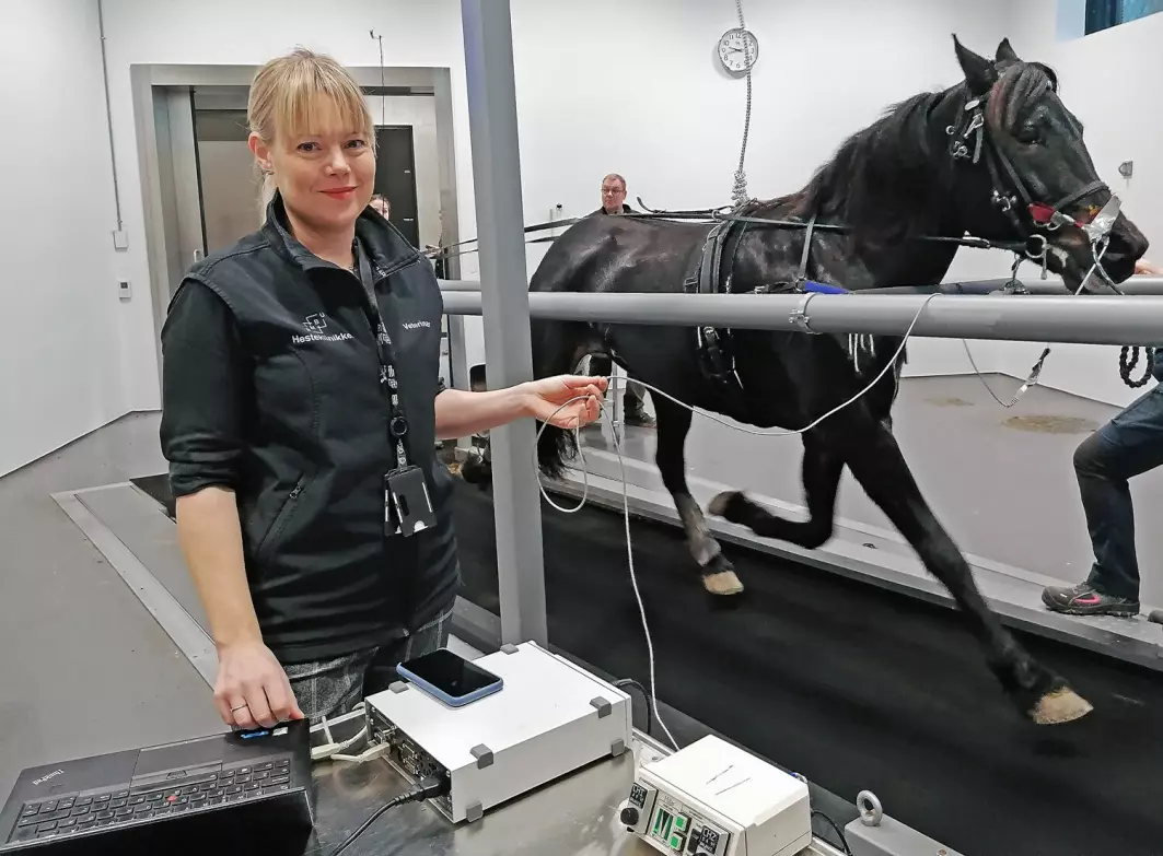 Veterinær Zoe Fretheim-Kelly har funnet ut at noen pusteproblemer hos hester og mennesker er sammenlignbare.
