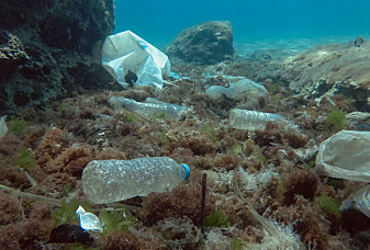 Hvor mye plast er det i Middelhavet?