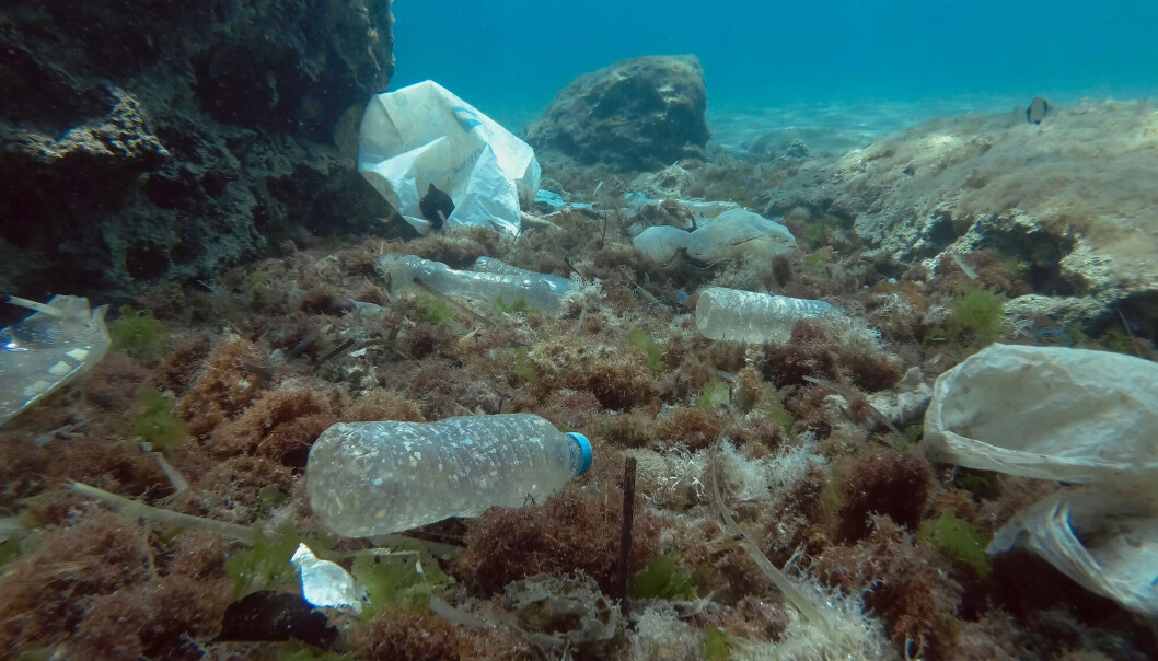Middelhavet er fullt av plastsøppel - alt fra flasker og poser til ørsmå biter av mikroplast. Middelhavet er fullt av plastsøppel - alt fra flasker og poser til ørsmå biter av mikroplast.