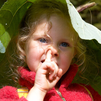 (Illustrasjonsfoto: www.colourbox.no) (Illustrasjonsfoto: www.colourbox.no)